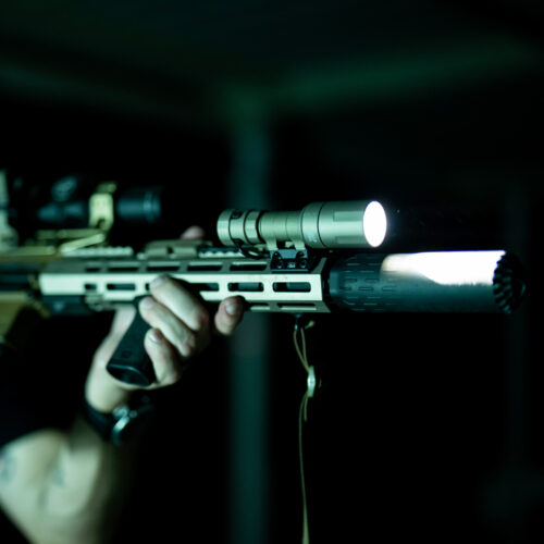 Gun Light